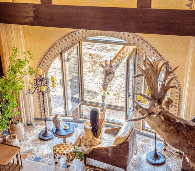 山东有自己的“疯狂动物城”！