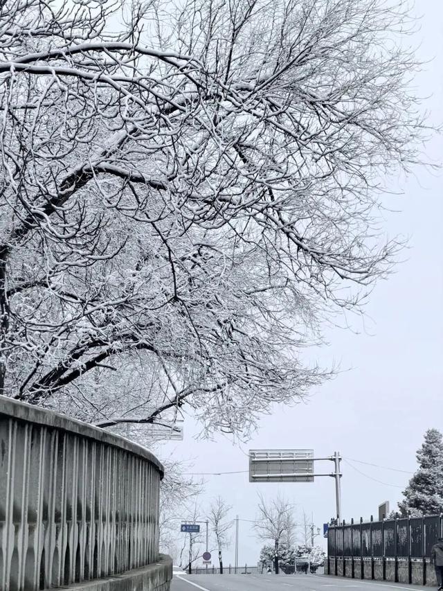 看！这是昌平雪后的美景——