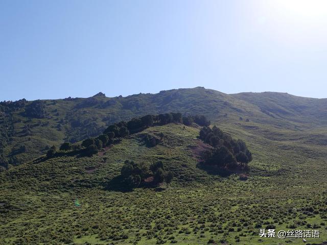图集丨山丹湿地：生态画卷展绿意 飞鸟清波映蓝天