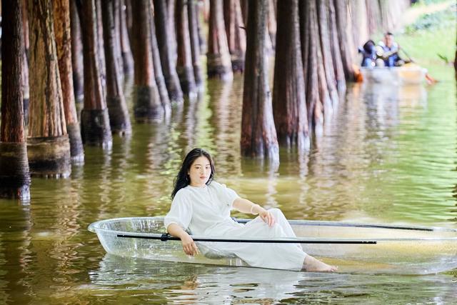 昆明海洪湿地公园，红杉林里划船，这里是现实版的“绿野仙踪”
