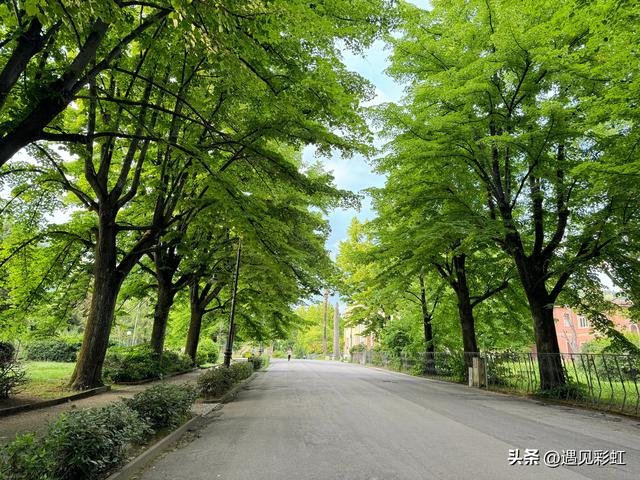 我的法意瑞之旅（十一）游览意大利五渔村、比萨斜塔