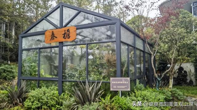 “生米”集合！今天起 来观山湖区生态文明展览馆 写祝福 抽周边~