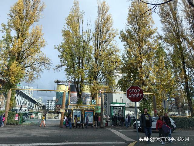 温哥华游记（六）