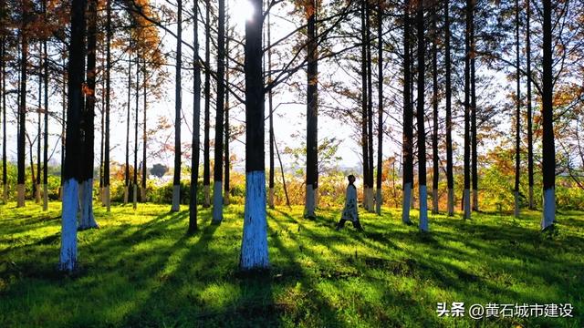 拍照绝美！就在黄石这里 快去打卡吧！