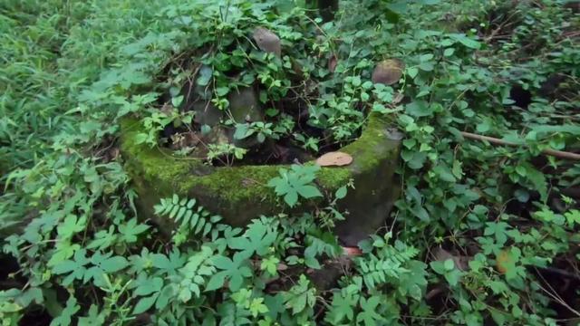 重庆南山有一座荒废庄院，曾是停放棺材的地方，胆小的人不敢靠近