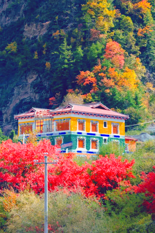 中国彩林第一县！黑水的美镜头不足以描绘！