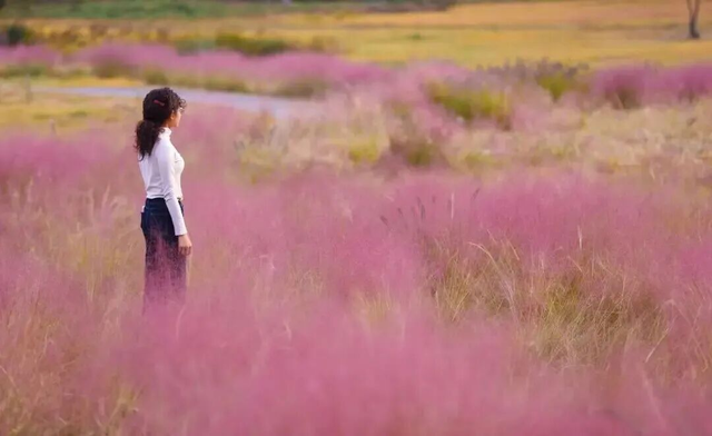 山景正宜人！青岛这里的山，已美到Next level