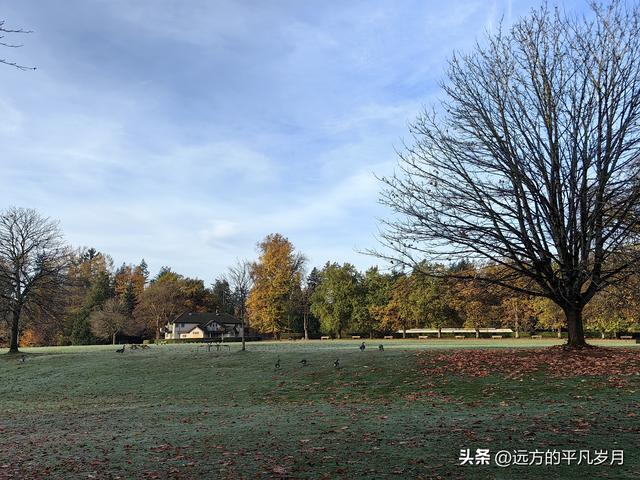 温哥华游记（四）