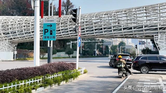 黄石新顶流打卡地！红杉林层林尽染 现实版“童话森林”