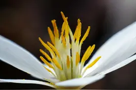 千万个心理为什么：“你是我的唯一”，50句精辟回复对方的话术图片