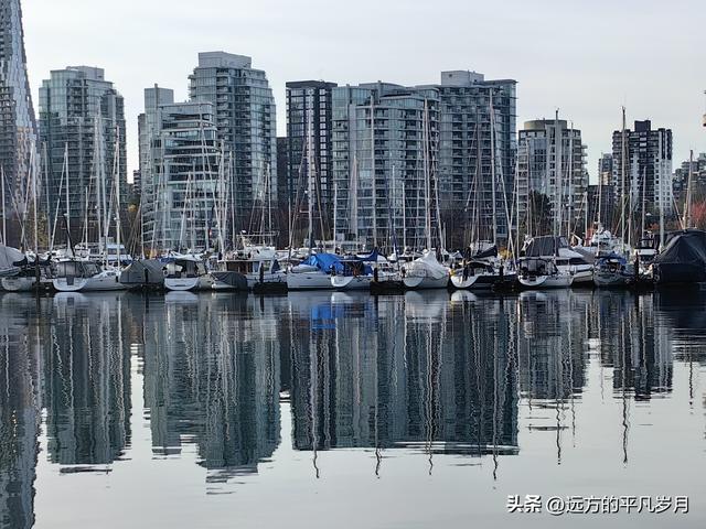 温哥华游记（四）