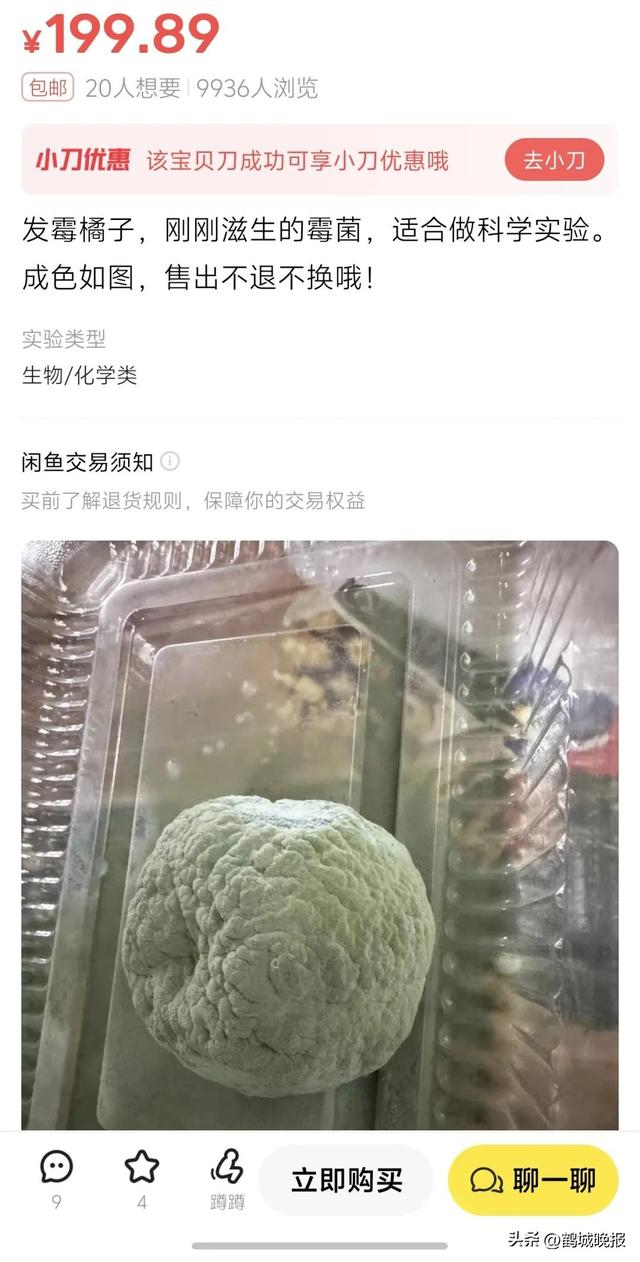 年轻人把闲鱼玩成搞钱乐园，中年人还在上面卖闲置，差距太大了