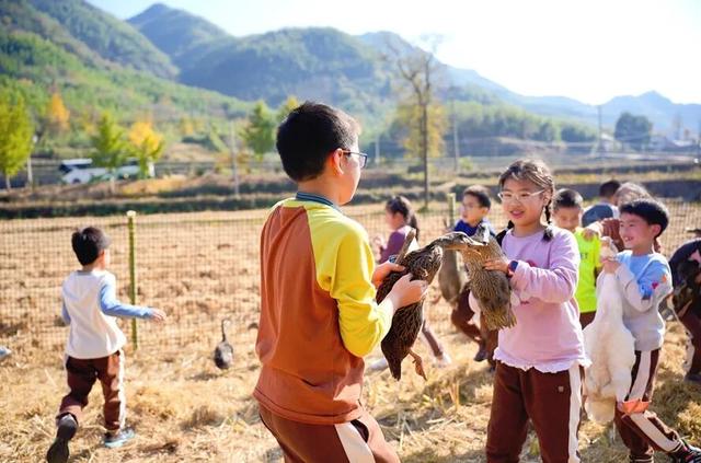 人人人车车车！富阳一地迎来大客流，太赚了！