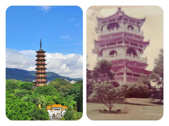 龙峰塔下，聆听龙华三十余载步履与回响