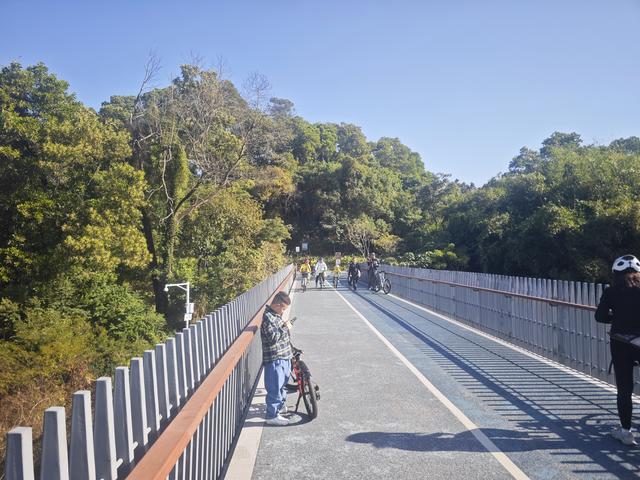 龙华新“骑”点，奔向2026骑行随拍1129