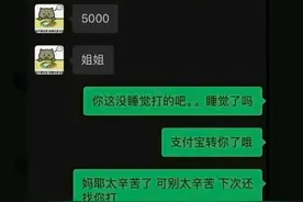 “胖猫”事件再次告诉我们不要爱的太满，到头来自己输的一败涂地图片