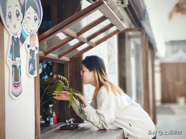藏在上海的千年水乡！青溪老街一日游攻略，逛吃玩全解锁！