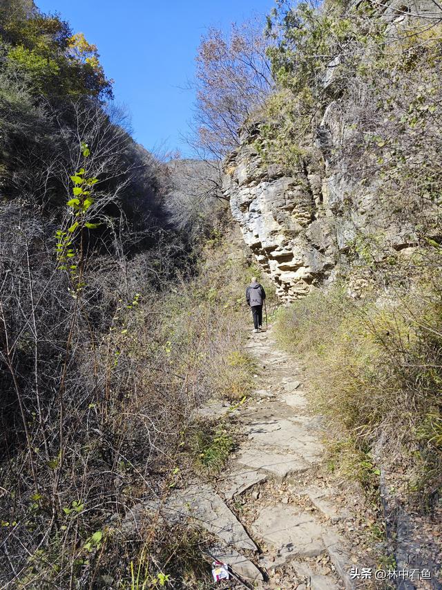 过周日找寻山水景，遇免费畅游通天峡——山西平顺通天峡游记