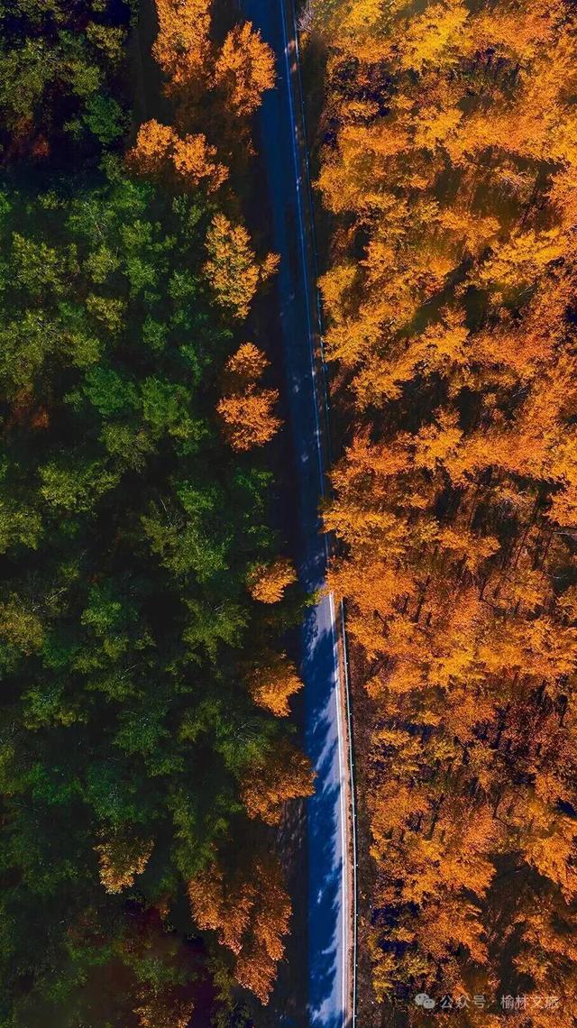 10月,再见;11月,你好!