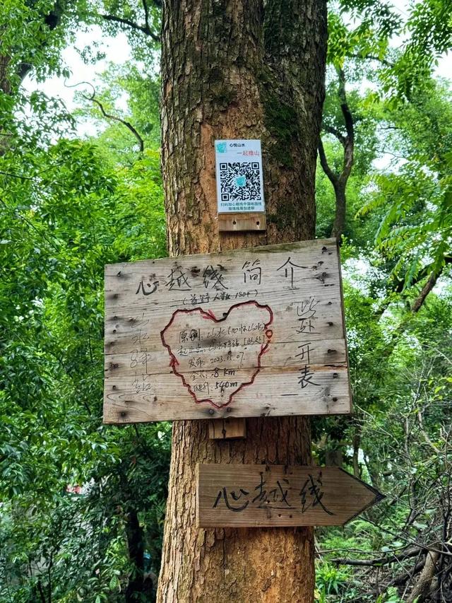 长沙5条亲子徒步“小秘境”路线，带娃坚持每周一山→