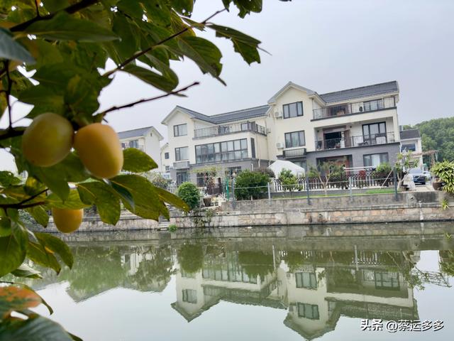 上海的乡村美得我头晕目眩