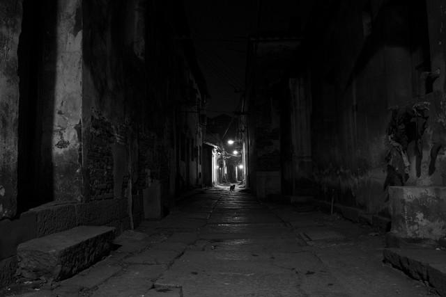 寂寞的夜里我想你