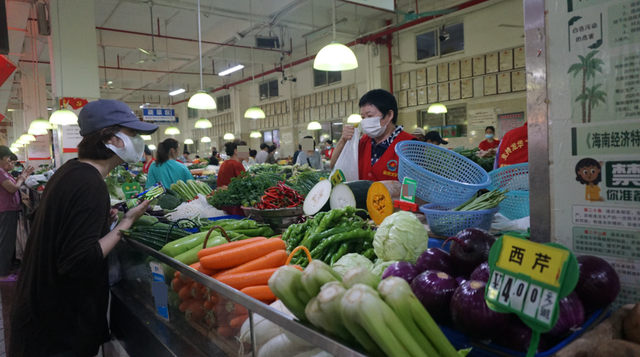 海南避坑指南！买车免税、高考移民这些热门问题，答案全在这
