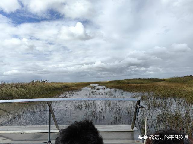 大沼泽地美国国家公园（迈阿密游记三）