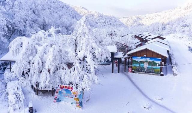 三场大戏+五大活动，宁强元旦狂欢倒计时！