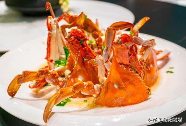 这个秋天，总要来一趟射阳吧