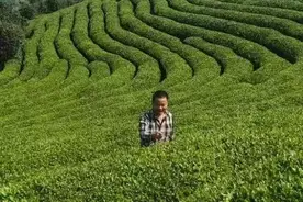 破茧成蝶，逆风飞扬，知识改变命运！图片