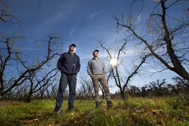 澳洲超市从中国大量进口这东西: 量足便宜! 本地企业崩溃图片