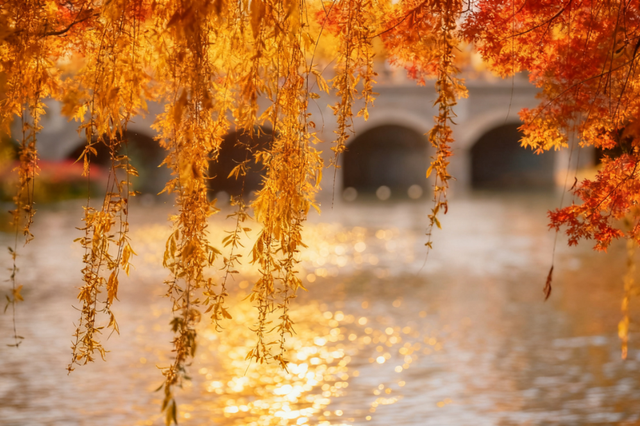 灞桥折柳、曲江流饮，这些路名藏着唐诗密码……