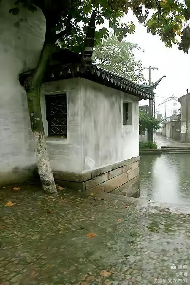 雨中看姑苏