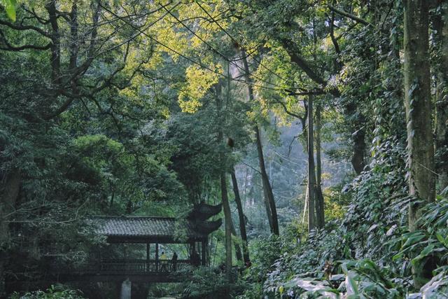 青山如黛,锦绣峨眉——峨眉山旅游攻略