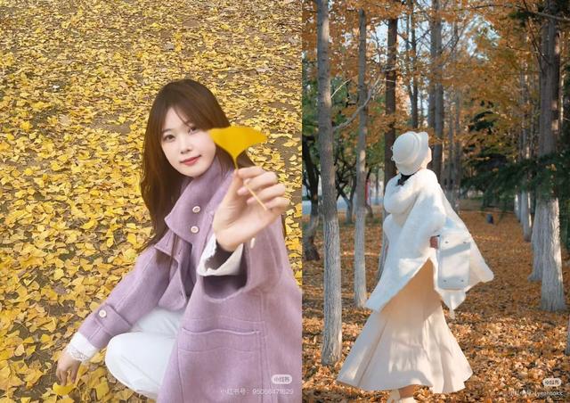 最适合拍银杏的地方！ 临沂十个0元打卡点，抓住今年最后的金色风暴！