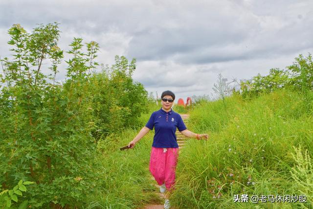 龚家山观景平台——城市森林公园可观日出日落、360度的观景平台