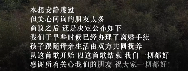 李亚鹏官宣离婚不到24小时，令人恶心的一幕发生了，汪峰也遭殃
