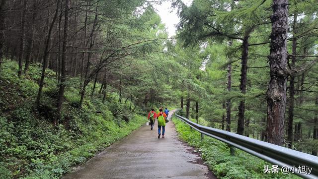 雨后徒步辽阳梨花峪，云雾缭绕｜木栈道、山地草甸、网红秋千