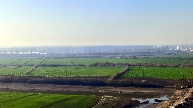 沉湖之约 建筑融自然绘青绿 群鸟齐飞撼心魂 农家烟火暖归途
