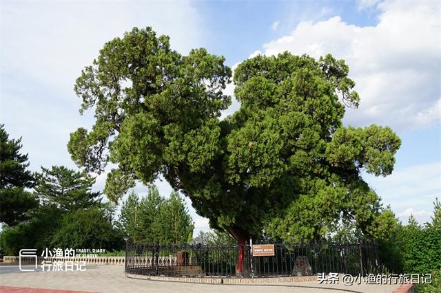 三省交界，陕北最北！陕西超豪横的县，风景独一无二，自驾超爽