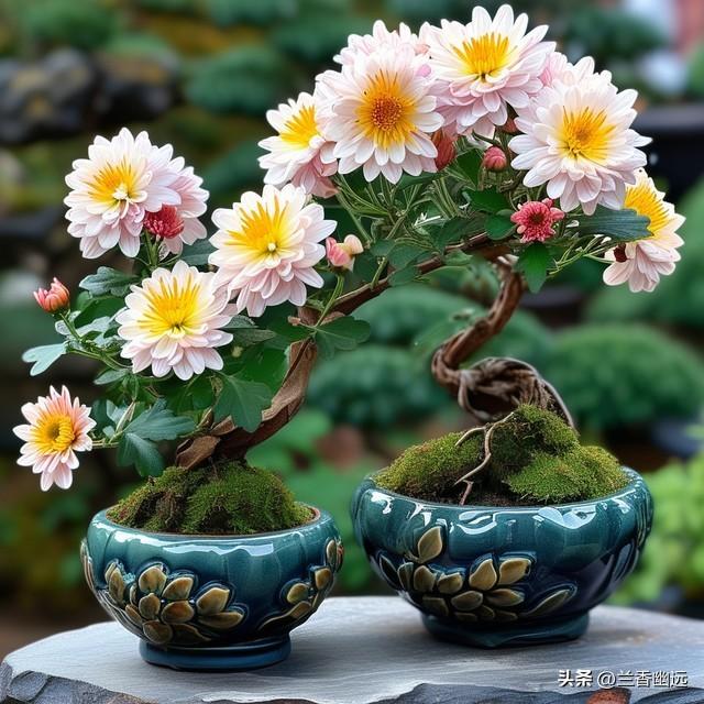 两性关系	，68女人大实话，男人过了70岁，只剩下两个用处