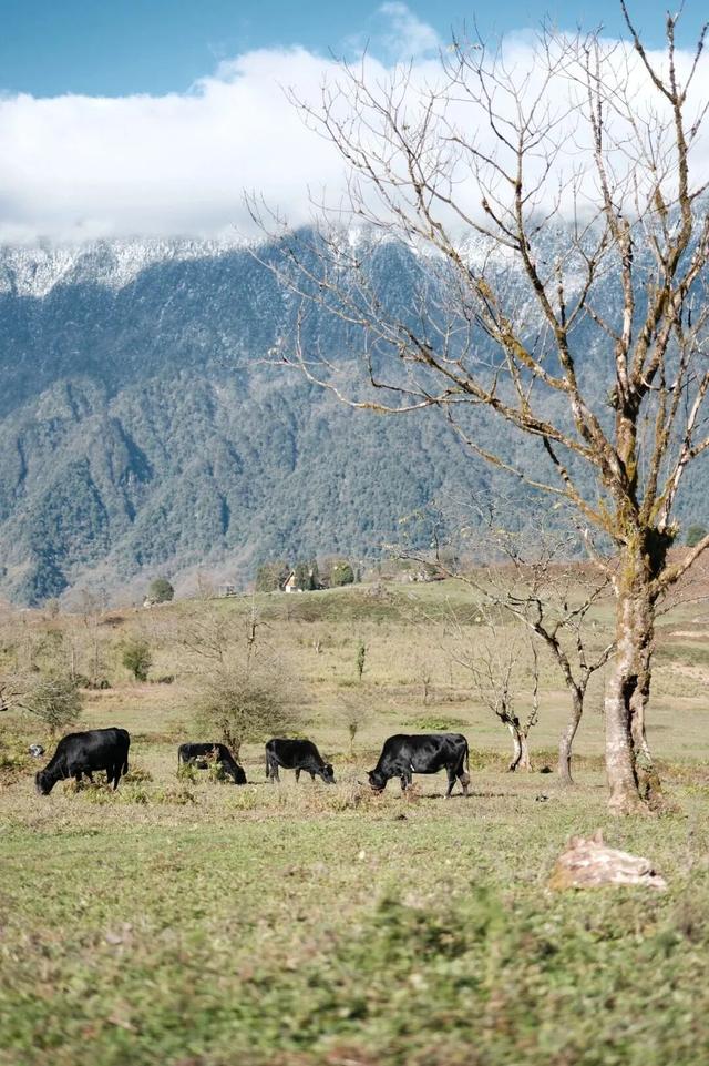 秋天还没过够？那就去乐山留住秋天！