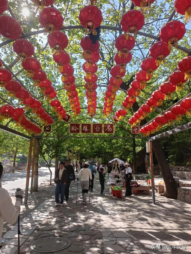 无为在歧路，武安涉县平顺临清（2）