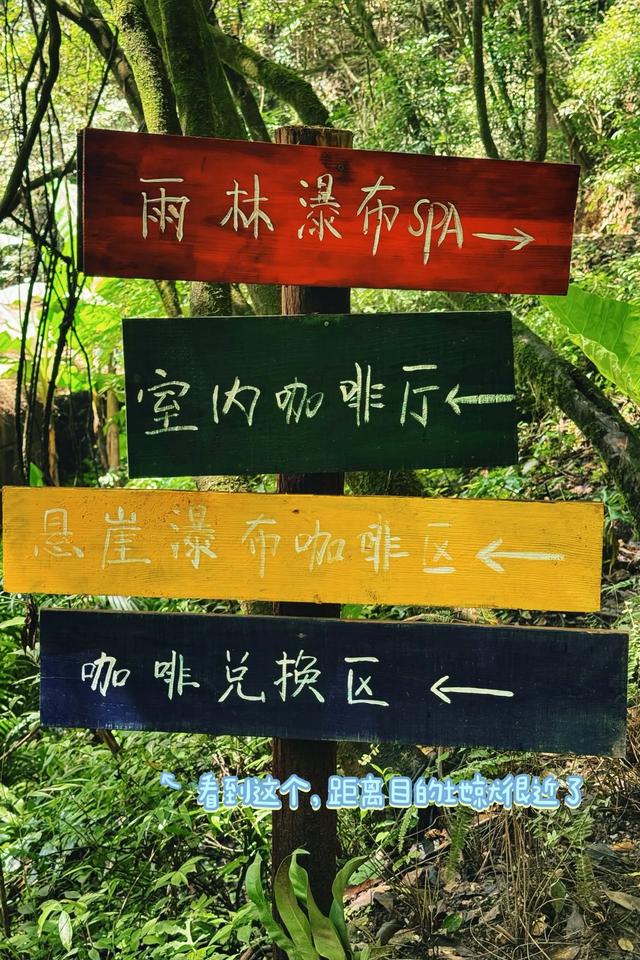 贵阳丨瀑布与咖啡的野性交响