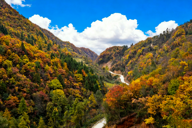 上坝彩林 彩林坝上