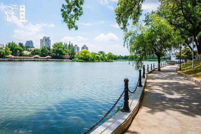 秦淮citywalk｜夏日寻凉之月牙湖