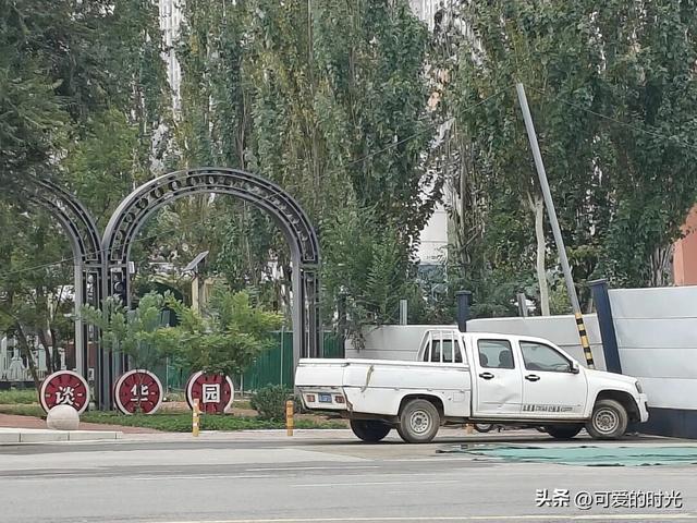 寻趣石家庄——光华路上的绿化带