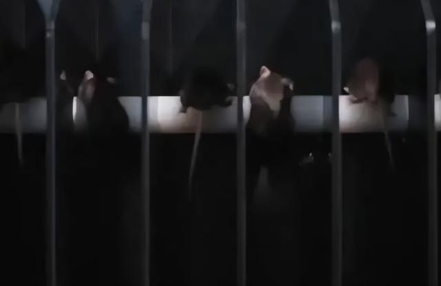 中国航天又创纪录 美国急了要赶在中国之前登月