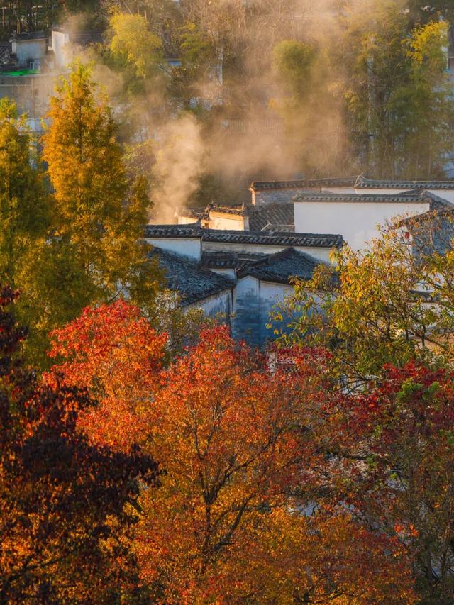 别再只去宏村了！这座水墨小城，藏着大半个徽州的秋，美得更诗意